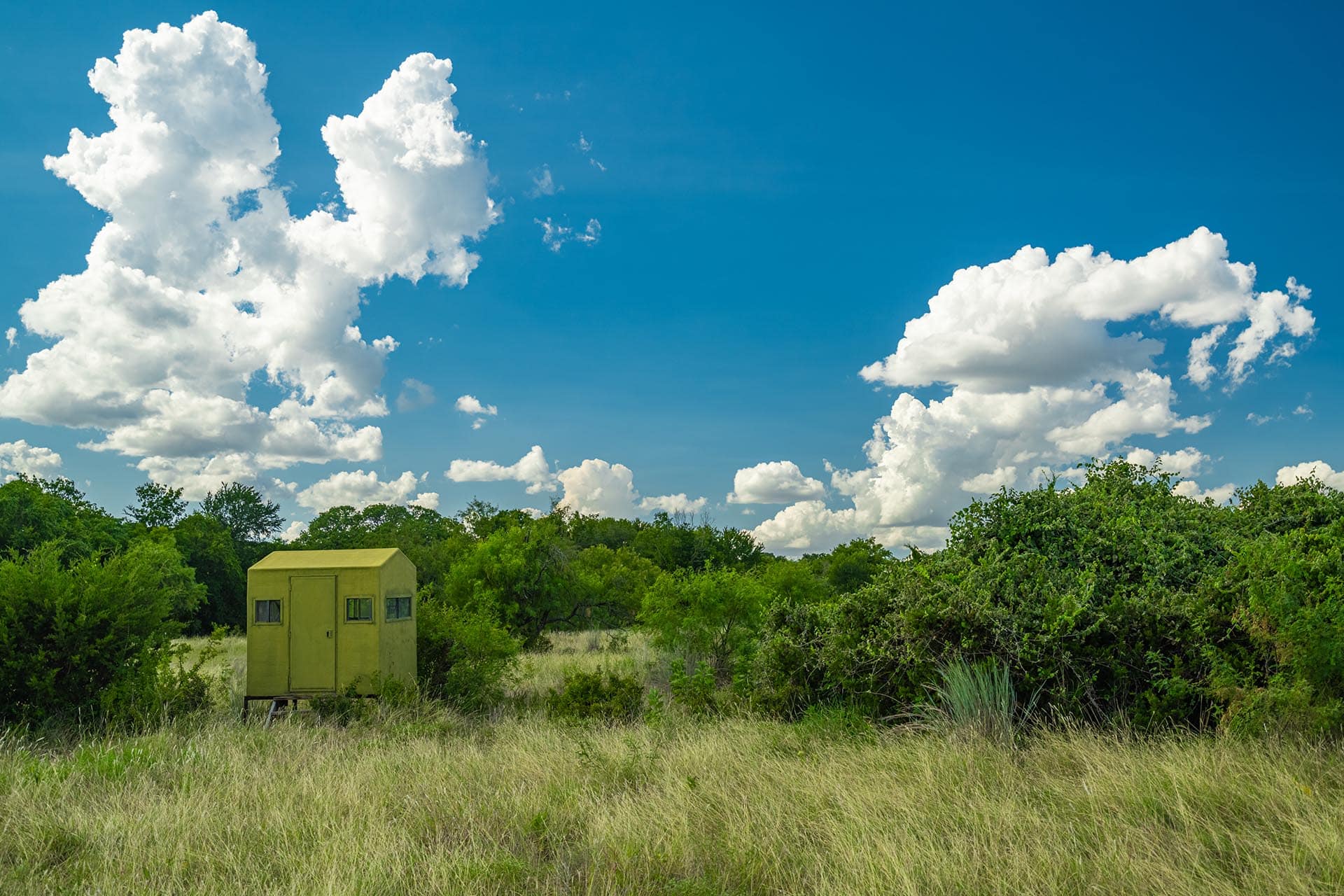 hunting blind and feeder texas gary creek ranch