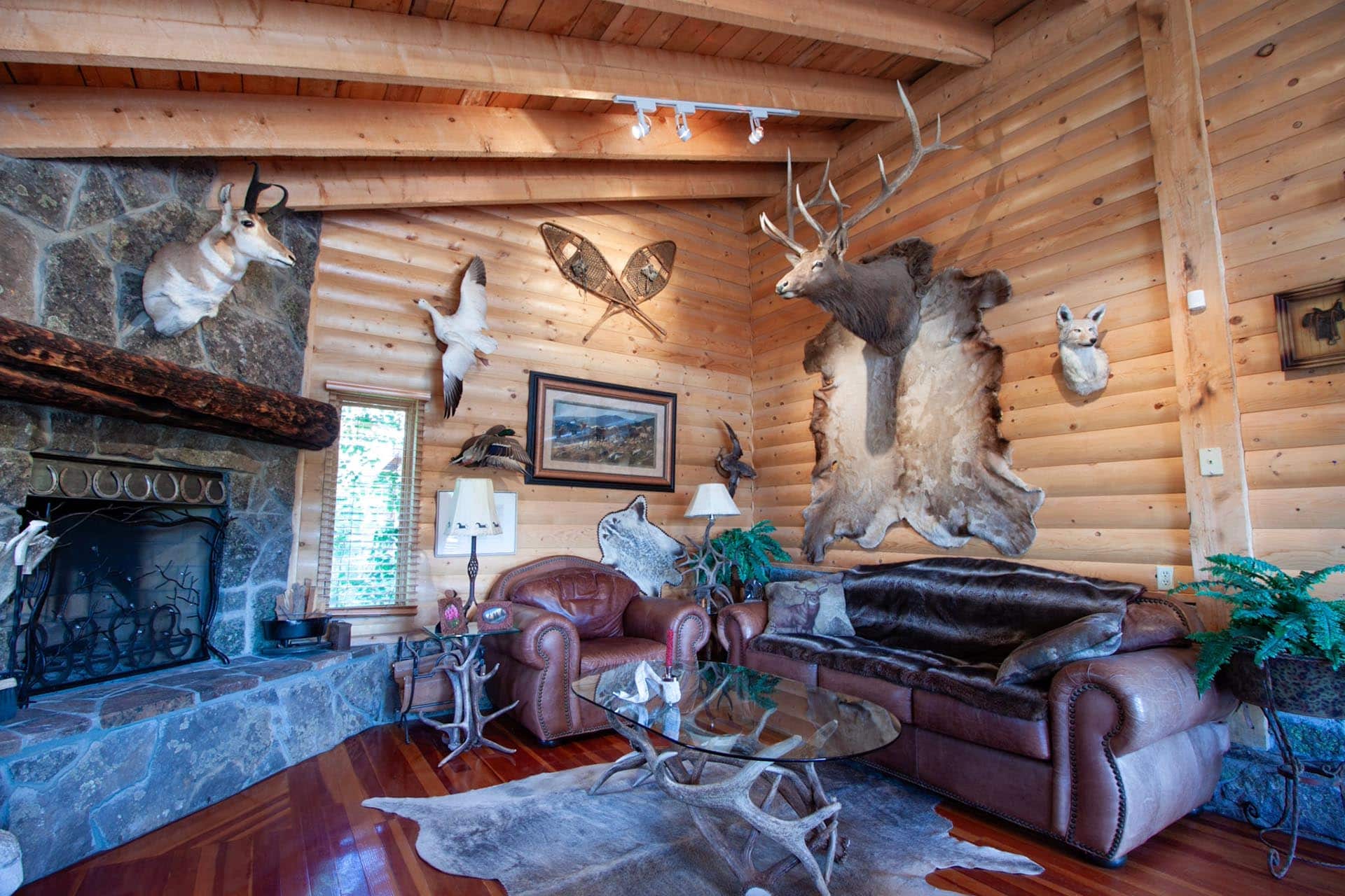 hunting lodge living room for sale colorado emerald ranch