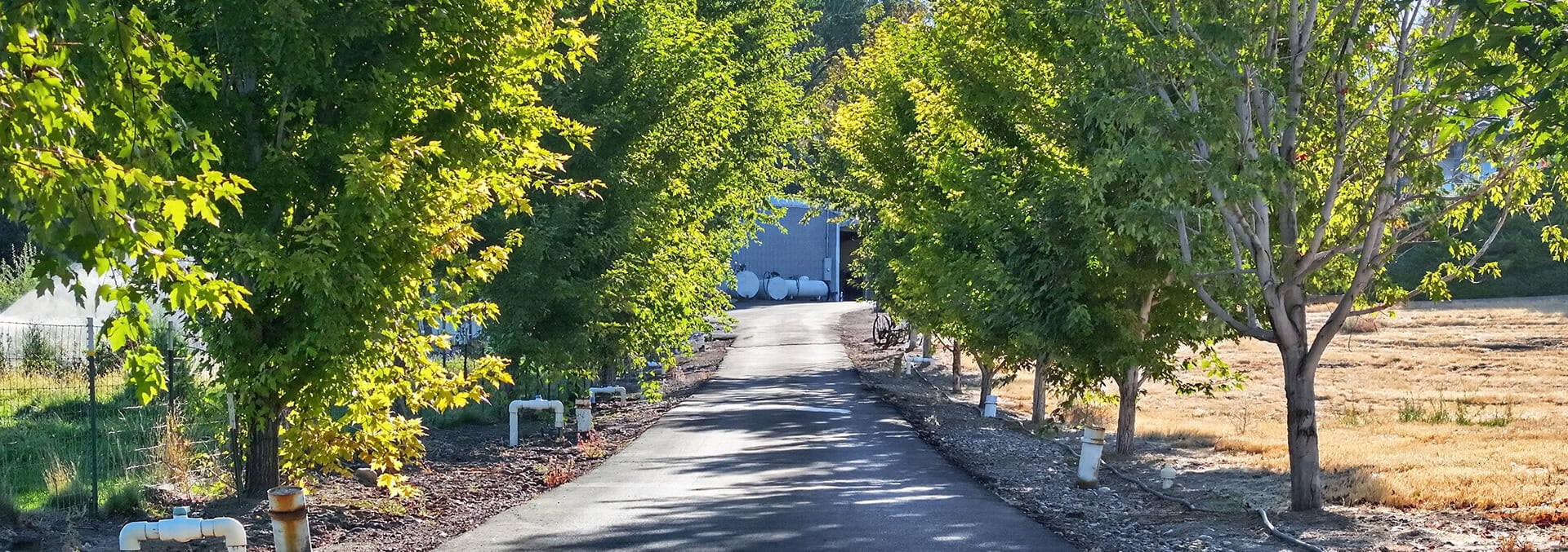 idaho land for sale apple ridge farmstead