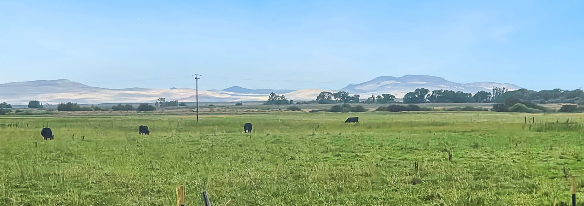 idaho land for sale chester confluence ranch