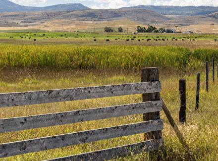 idaho ranch for sale wallentine ranch