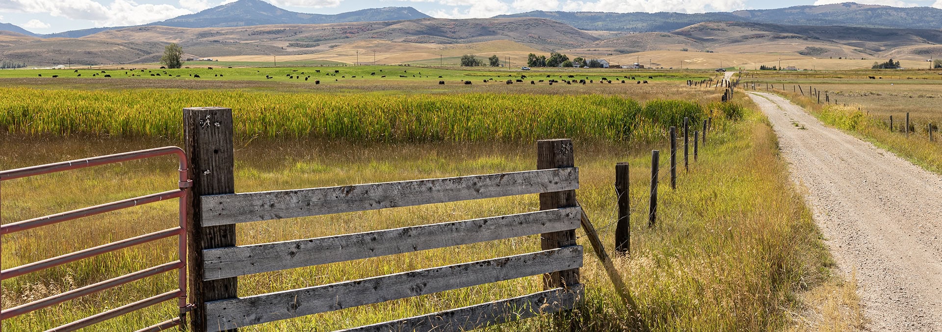 idaho ranch for sale wallentine ranch
