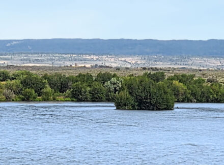 idaho waterfront for sale chester confluence ranch