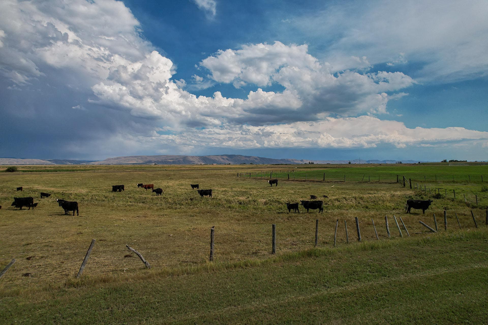 irrigated farmland idaho wallentine ranch