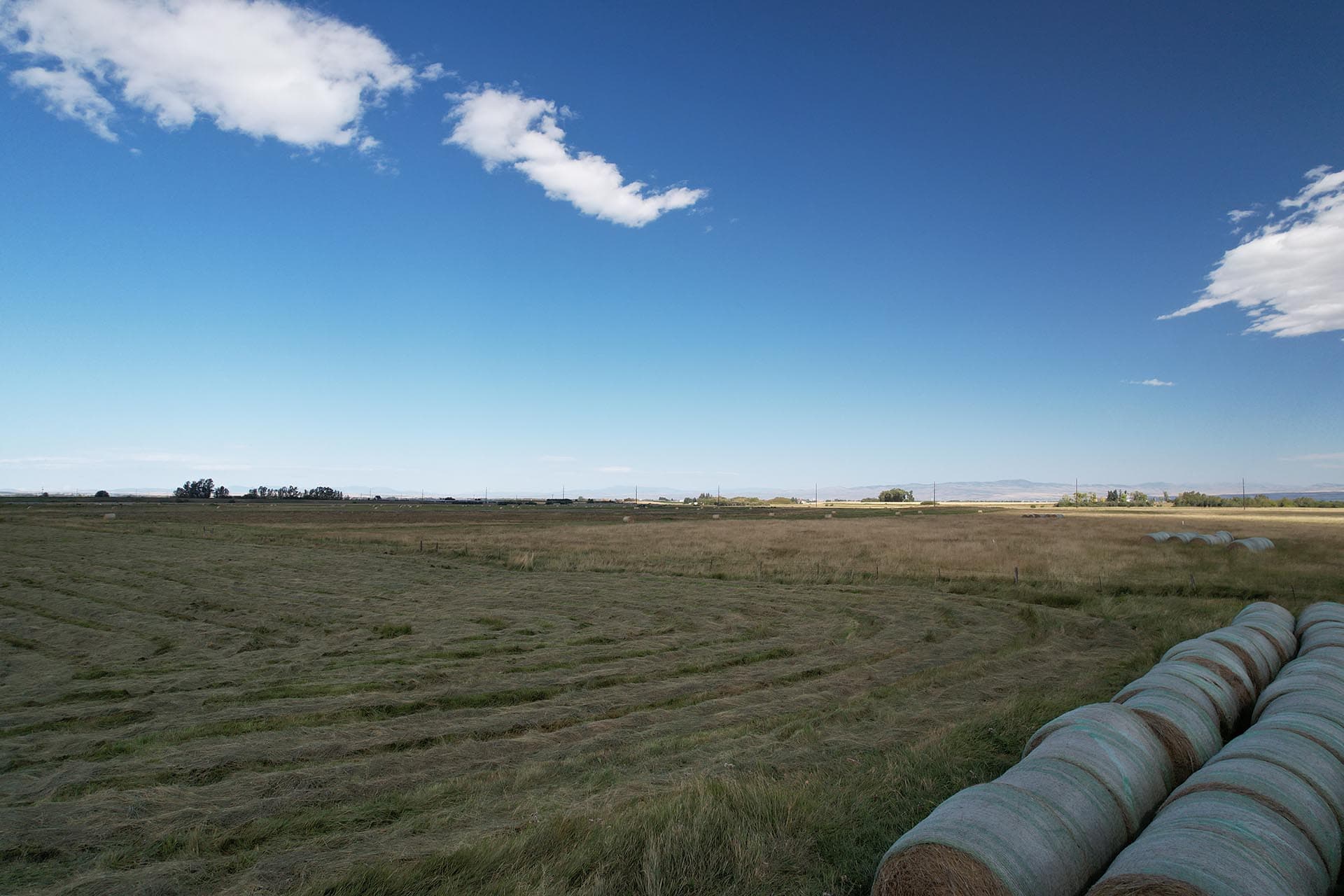 land for sale montana west bozeman homestead