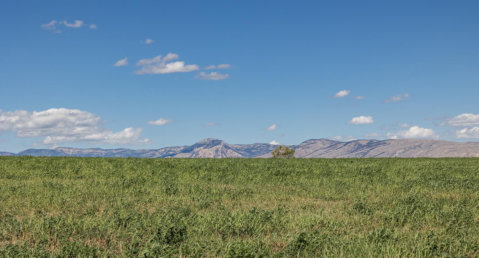 large acreage idaho wallentine ranch