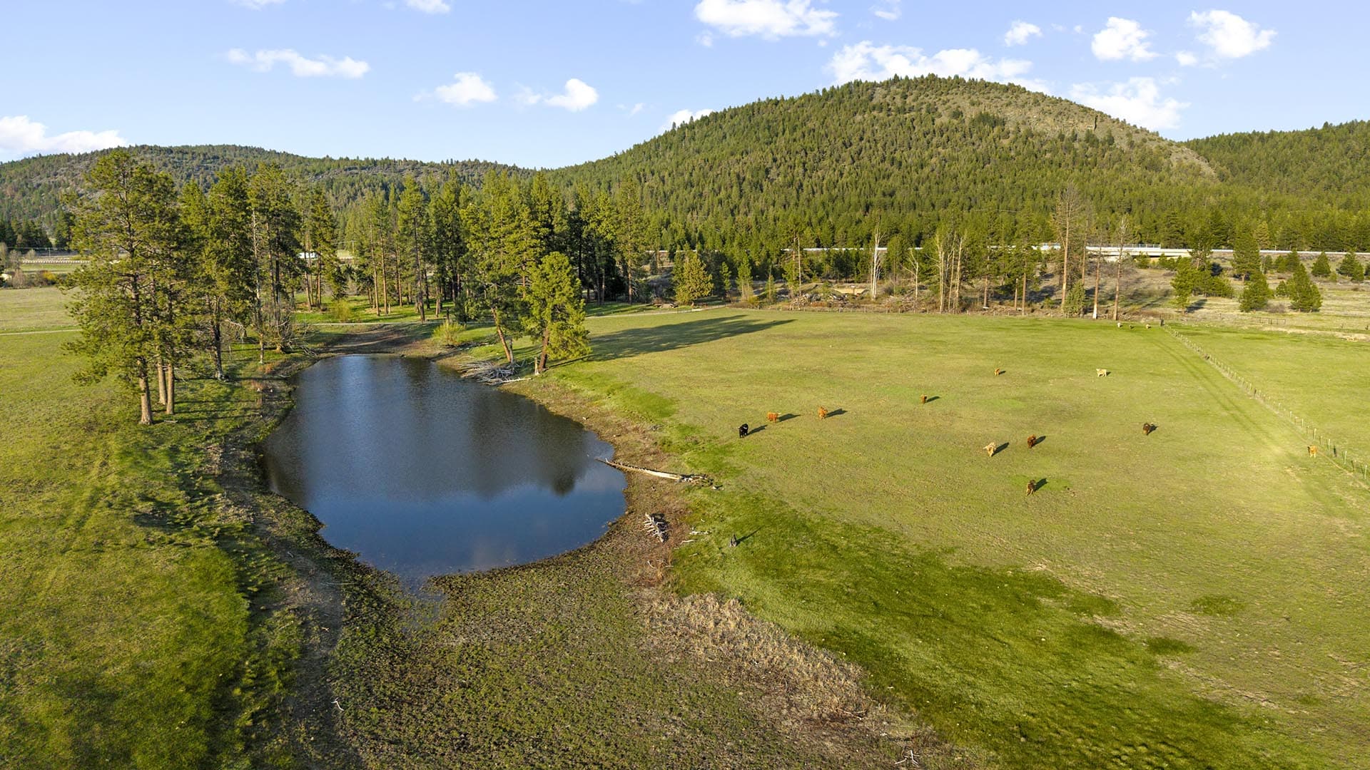 large acreage near me oregon river bend ranch