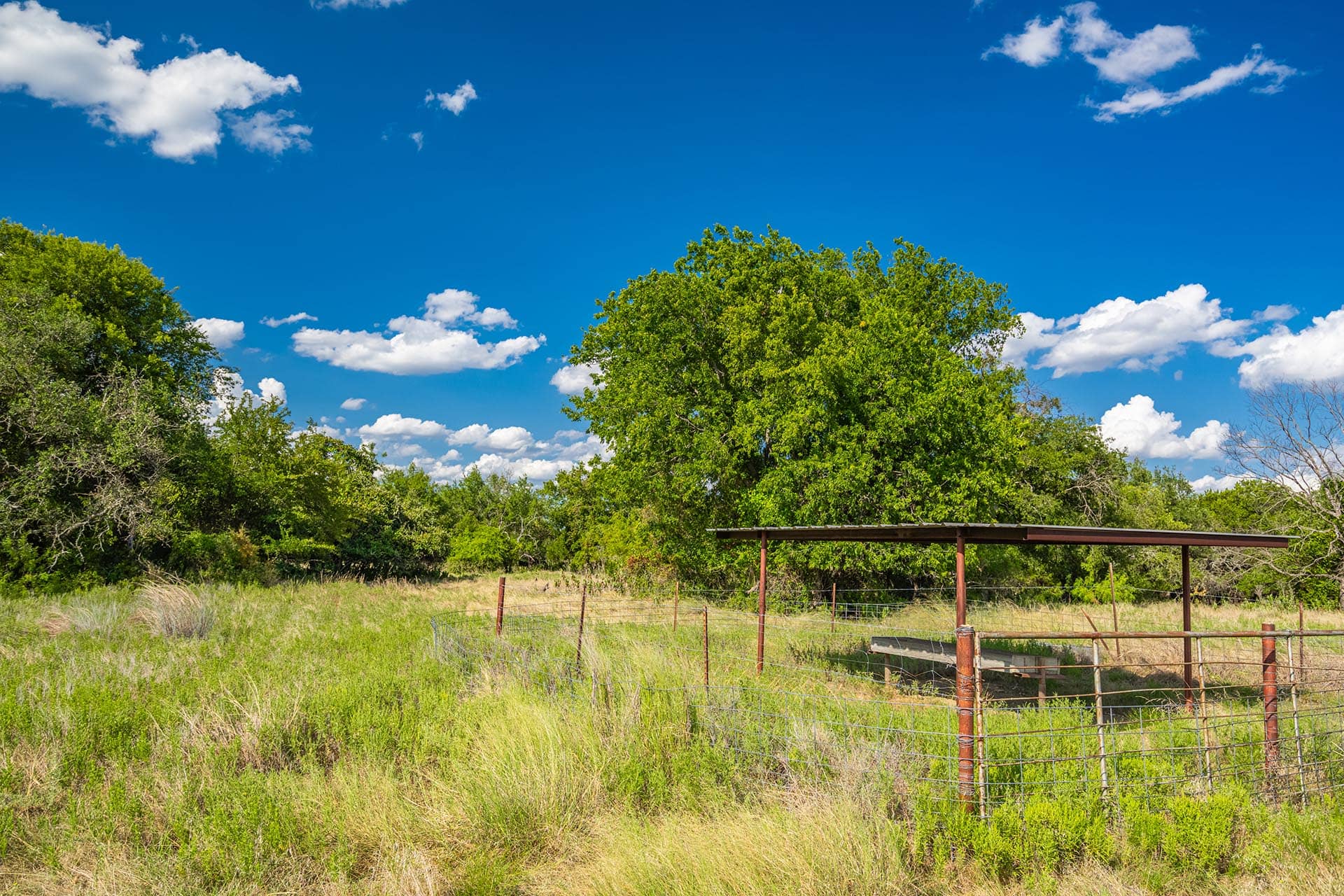 mature live oaks and pecans texas gary creek ranch