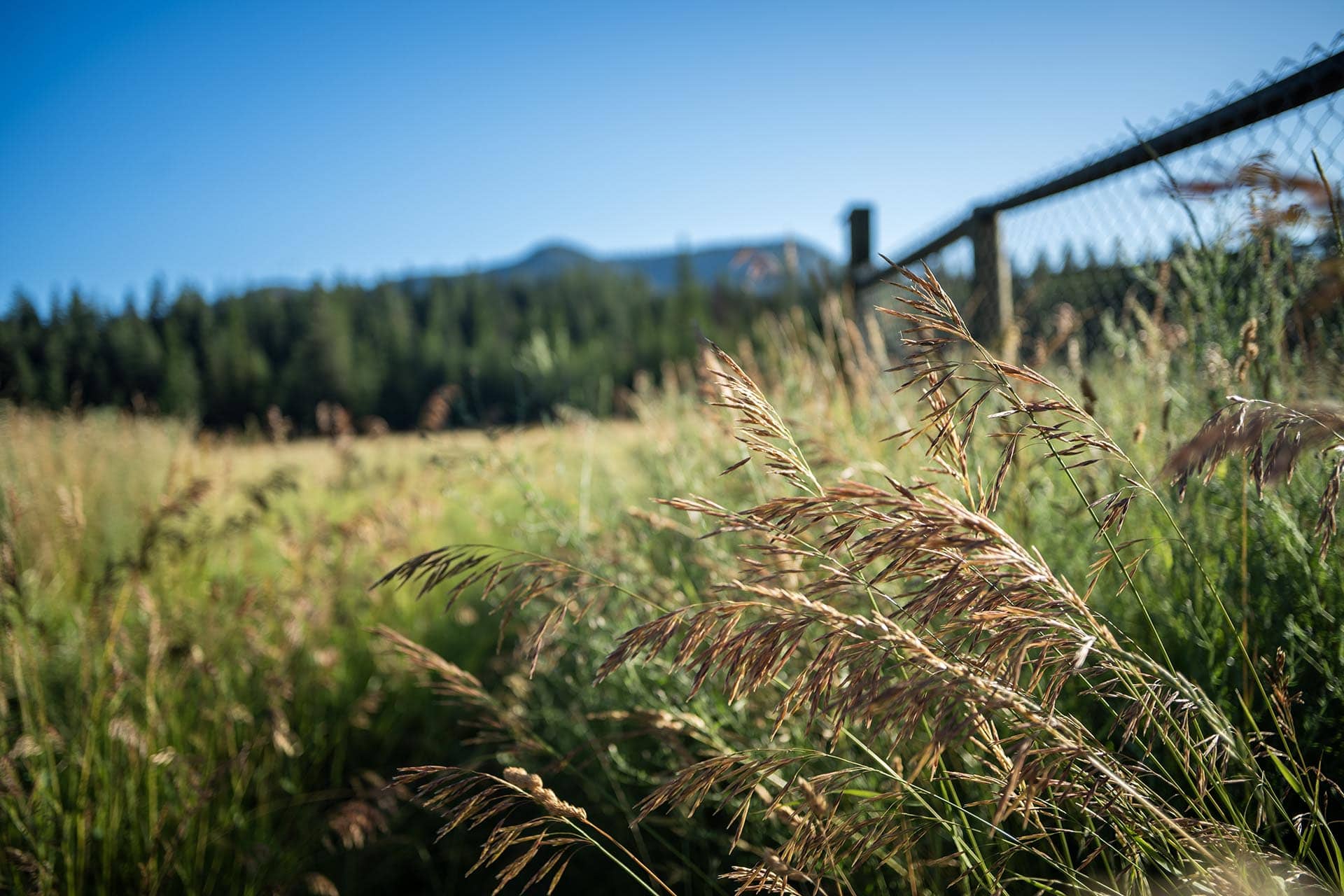 montana grassland montana clark fork timeless river retreat