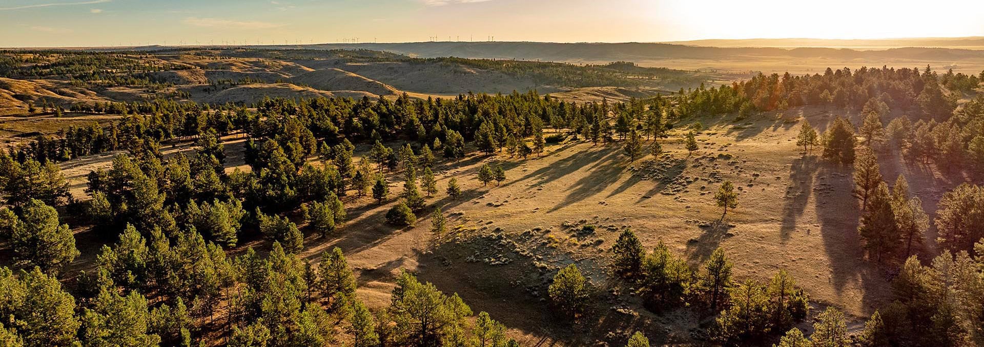 montana land for sale greycliff hunting preserve