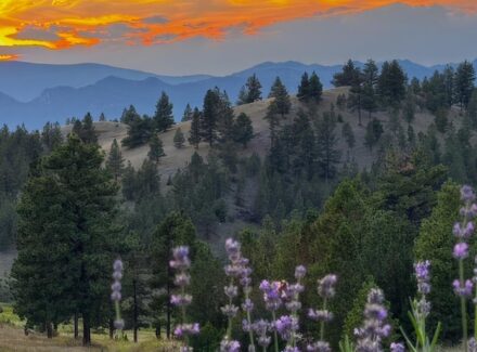 montana property for sale Elk Ridge hunting retreat