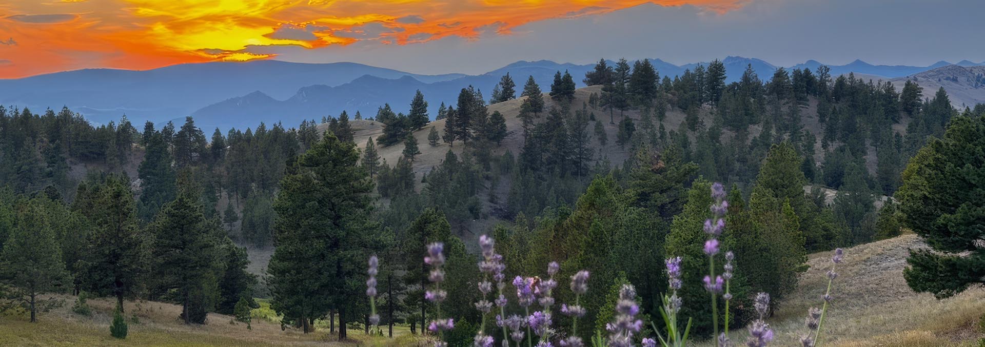 montana property for sale Elk Ridge hunting retreat