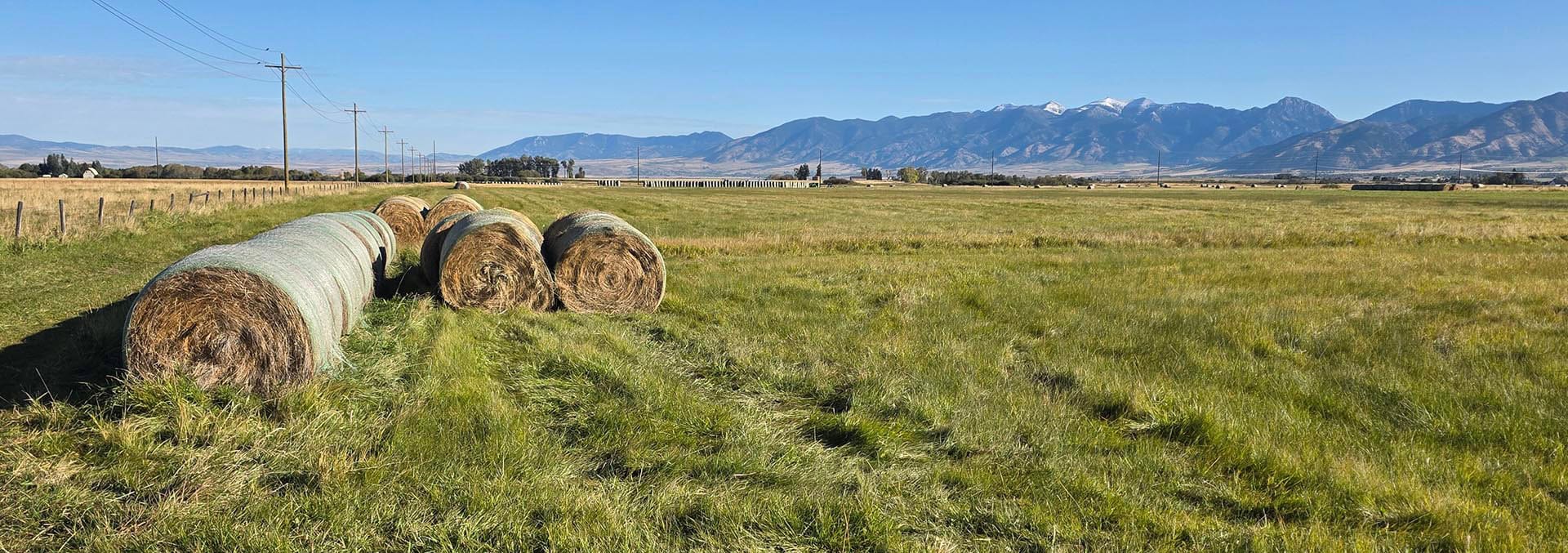 montana property for sale west bozeman homestead