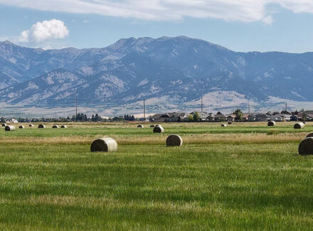 montana ranch for sale west bozeman homestead