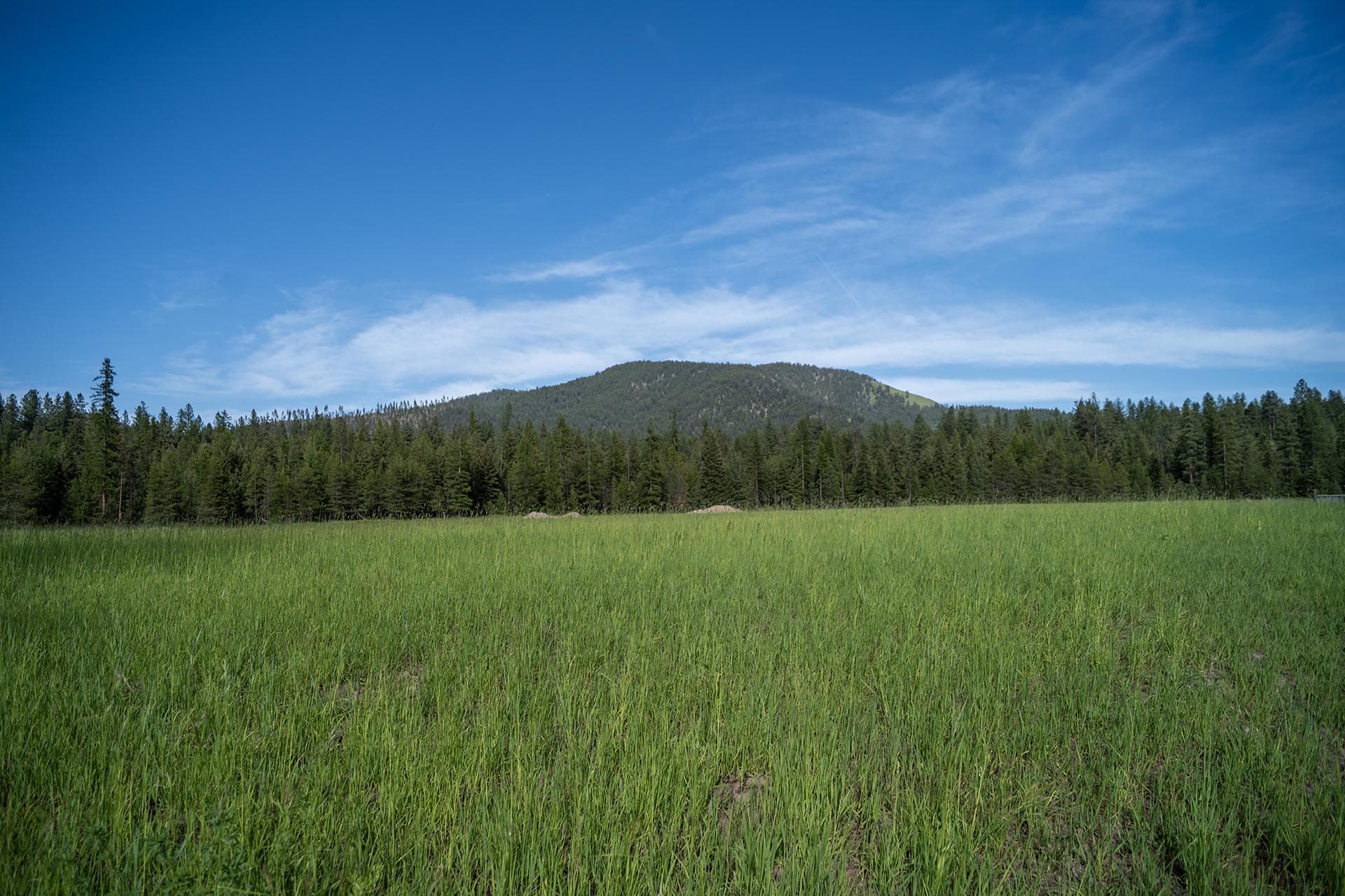 mountain meadow montana clark fork timeless river retreat