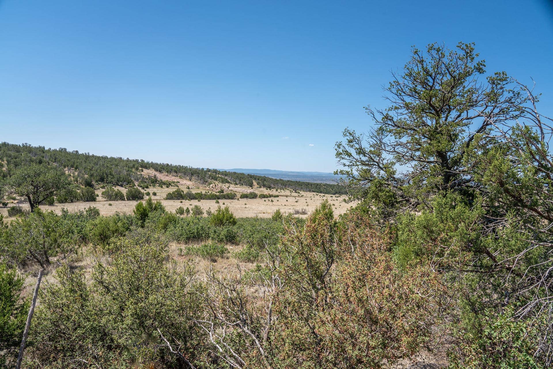 mountain ranch for sale new mexico eagle rock ranch
