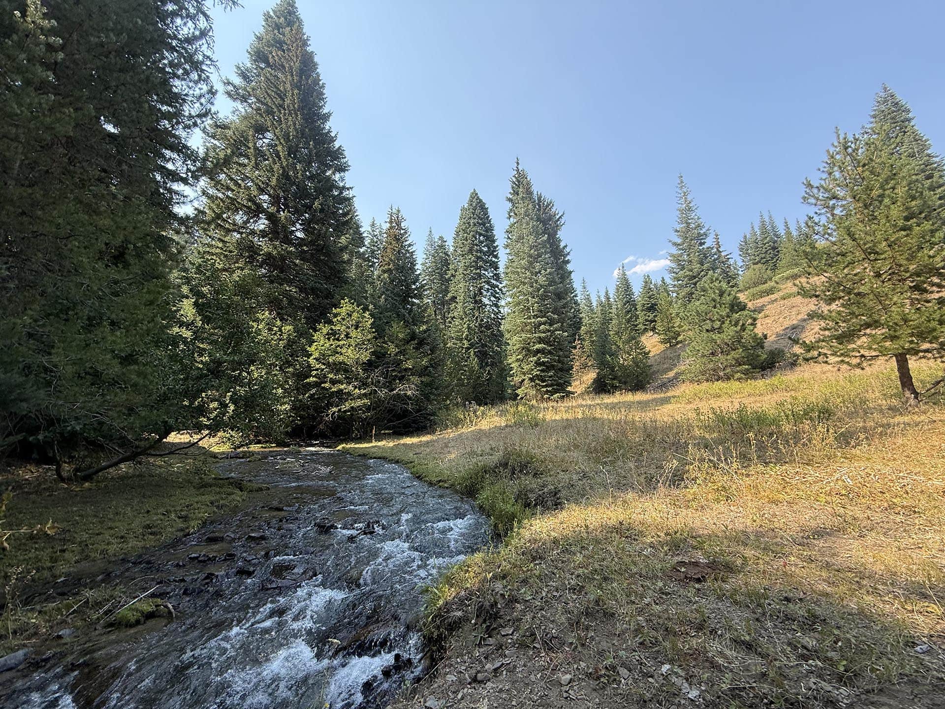 mountain stream property for sale oregon goose creek getaway