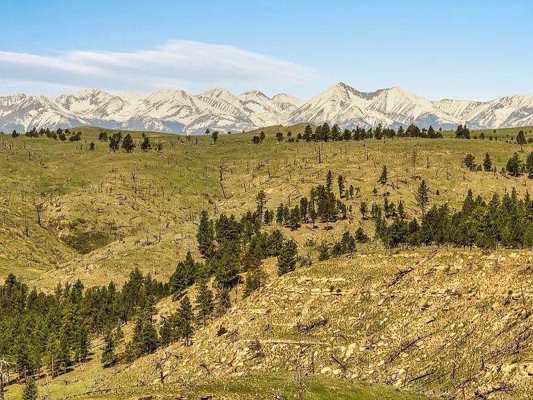mountain view acreage for sale mt montana greycliff hunting preserve