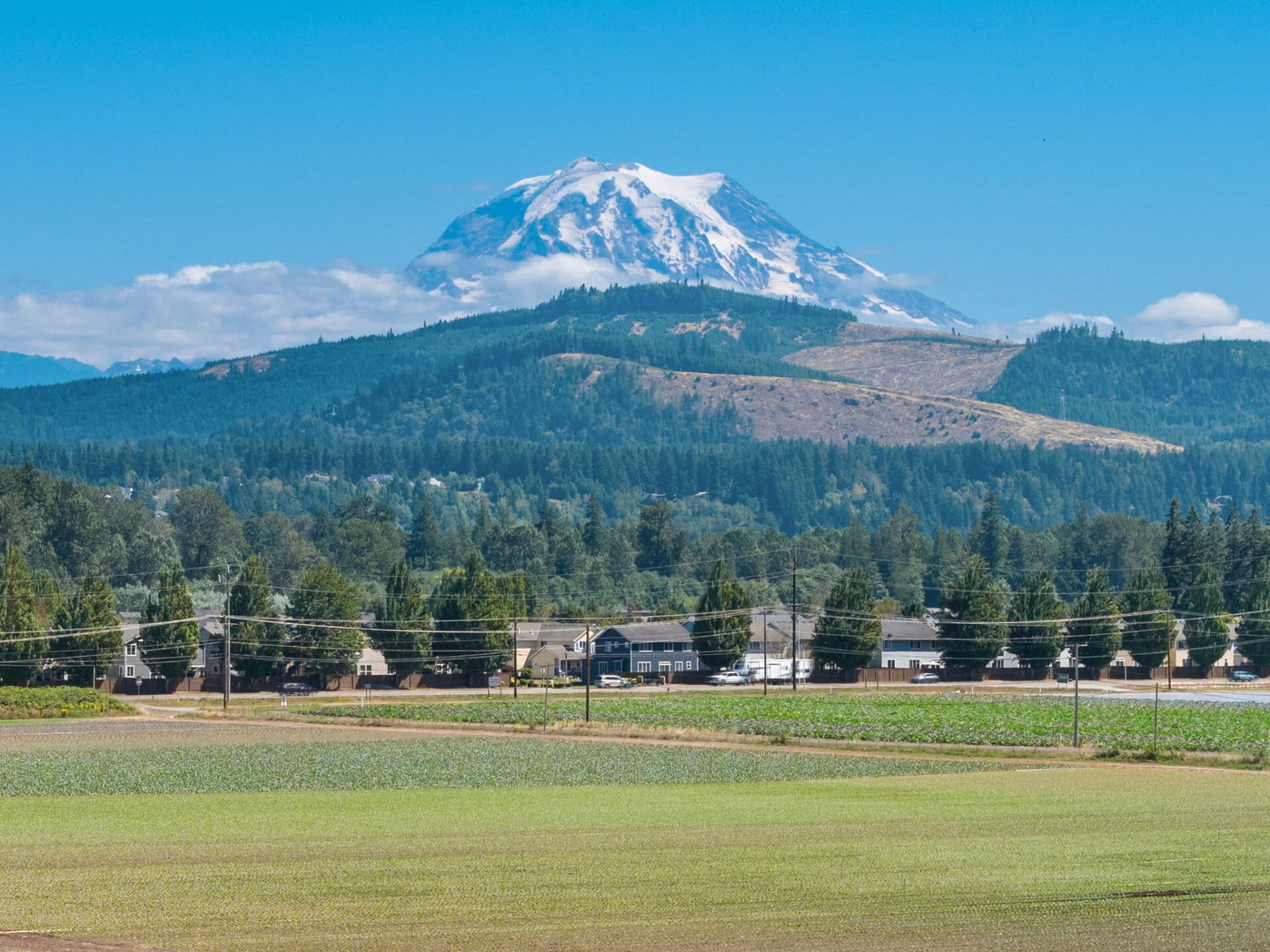 mountain view farm for sale Washington Mountain Harvest Farm
