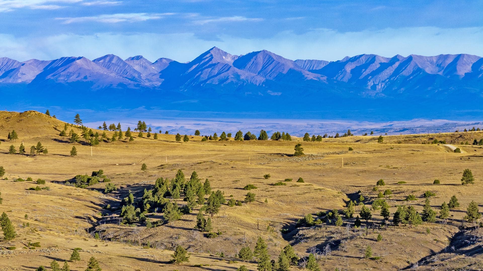 mountain view acreage for sale mt montana greycliff hunting preserve