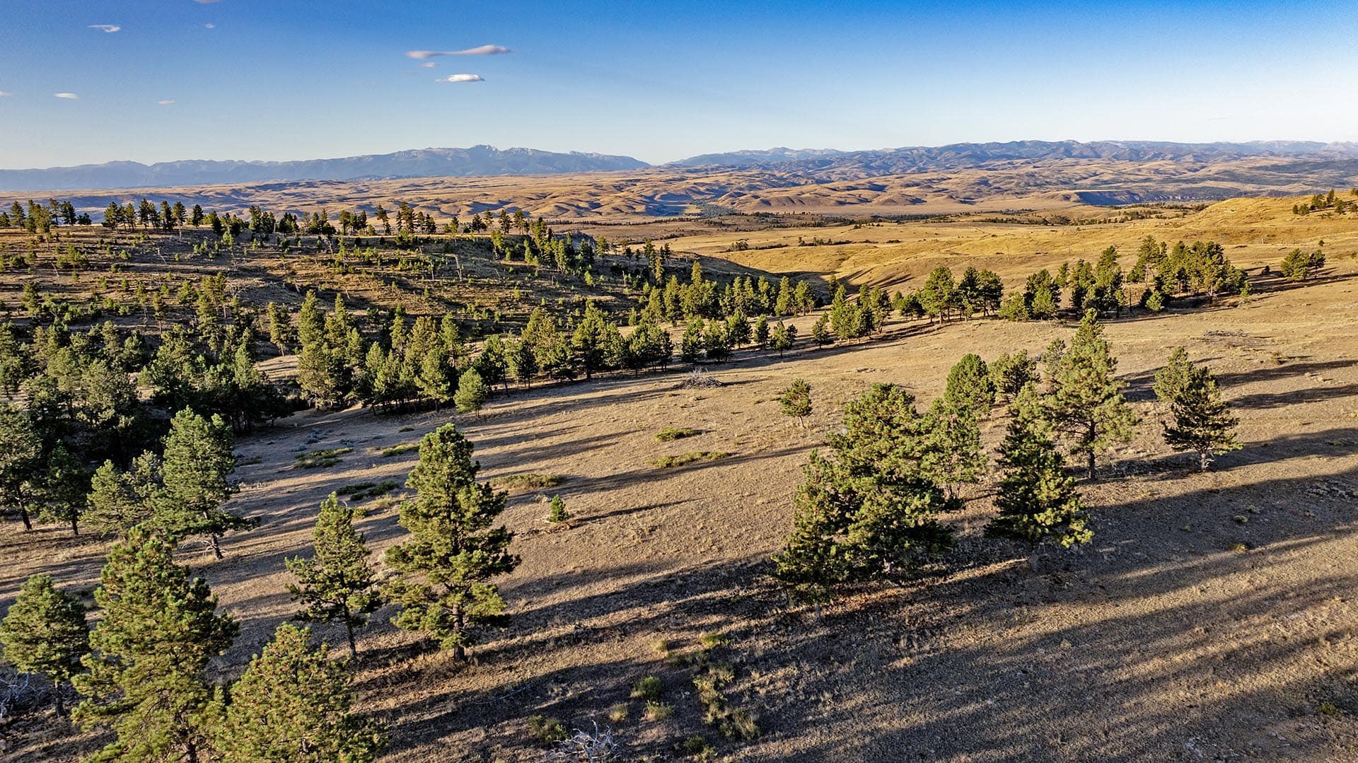 mountain view land montana greycliff hunting preserve