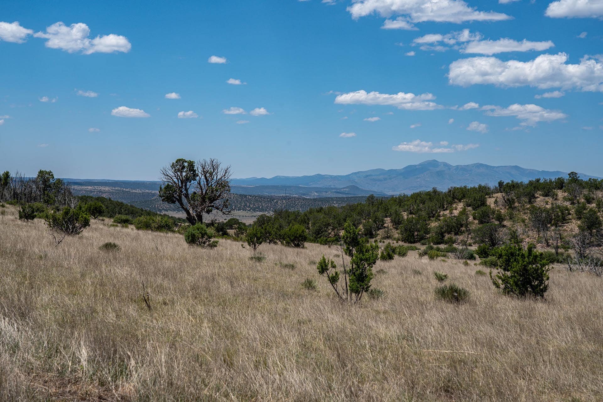 mountain views ranch for sale new mexico eagle rock ranch