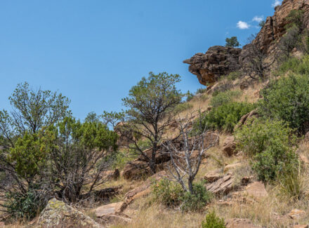 new mexico ranch for sale eagle rock ranch