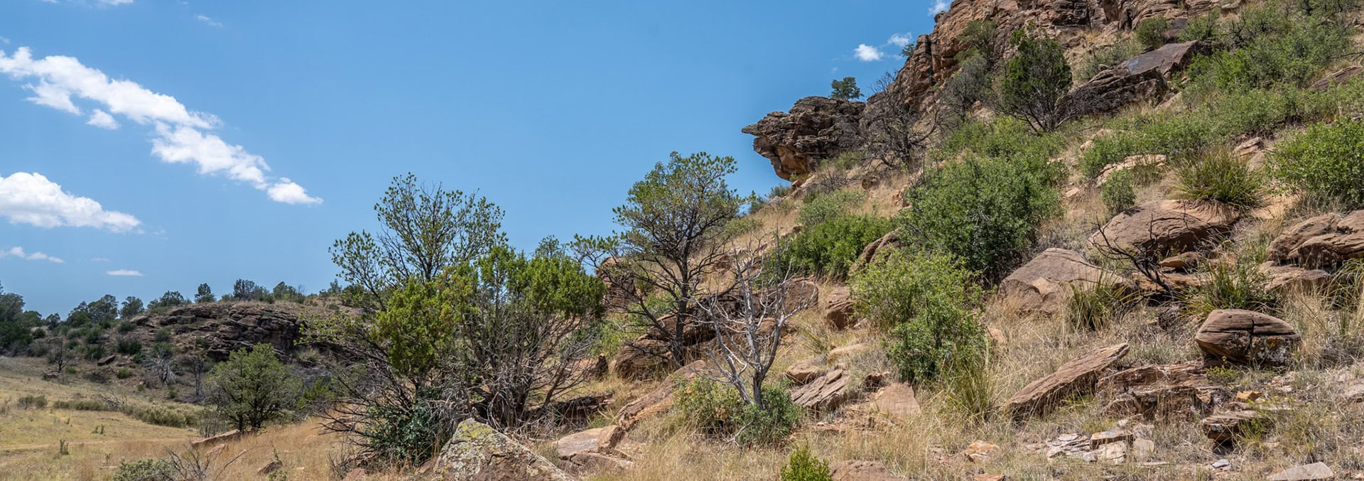 new mexico ranch for sale eagle rock ranch