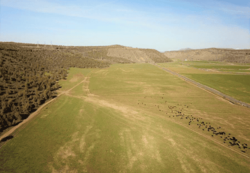 oregon property for sale oneil pivots