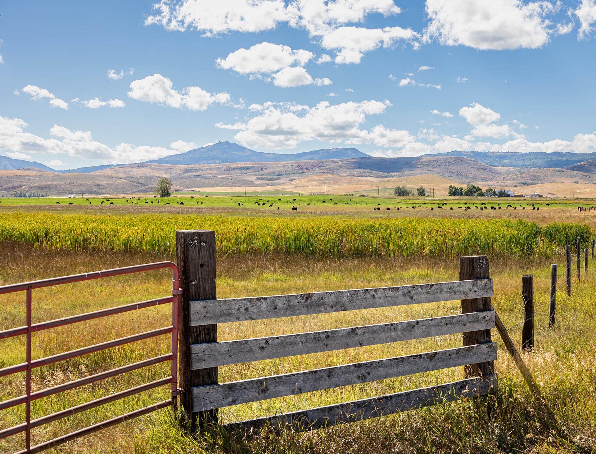 ranch with irrigation idaho wallentine ranch