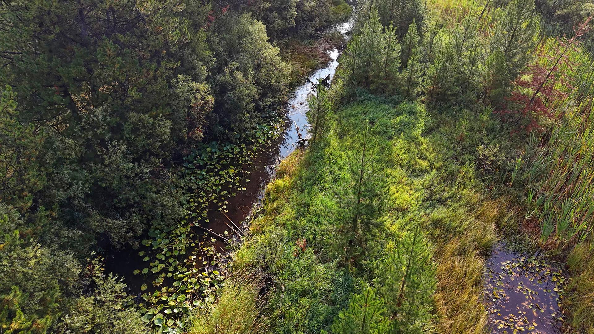 recreational property near whitefish for sale montana little bitterroot mountain retreat