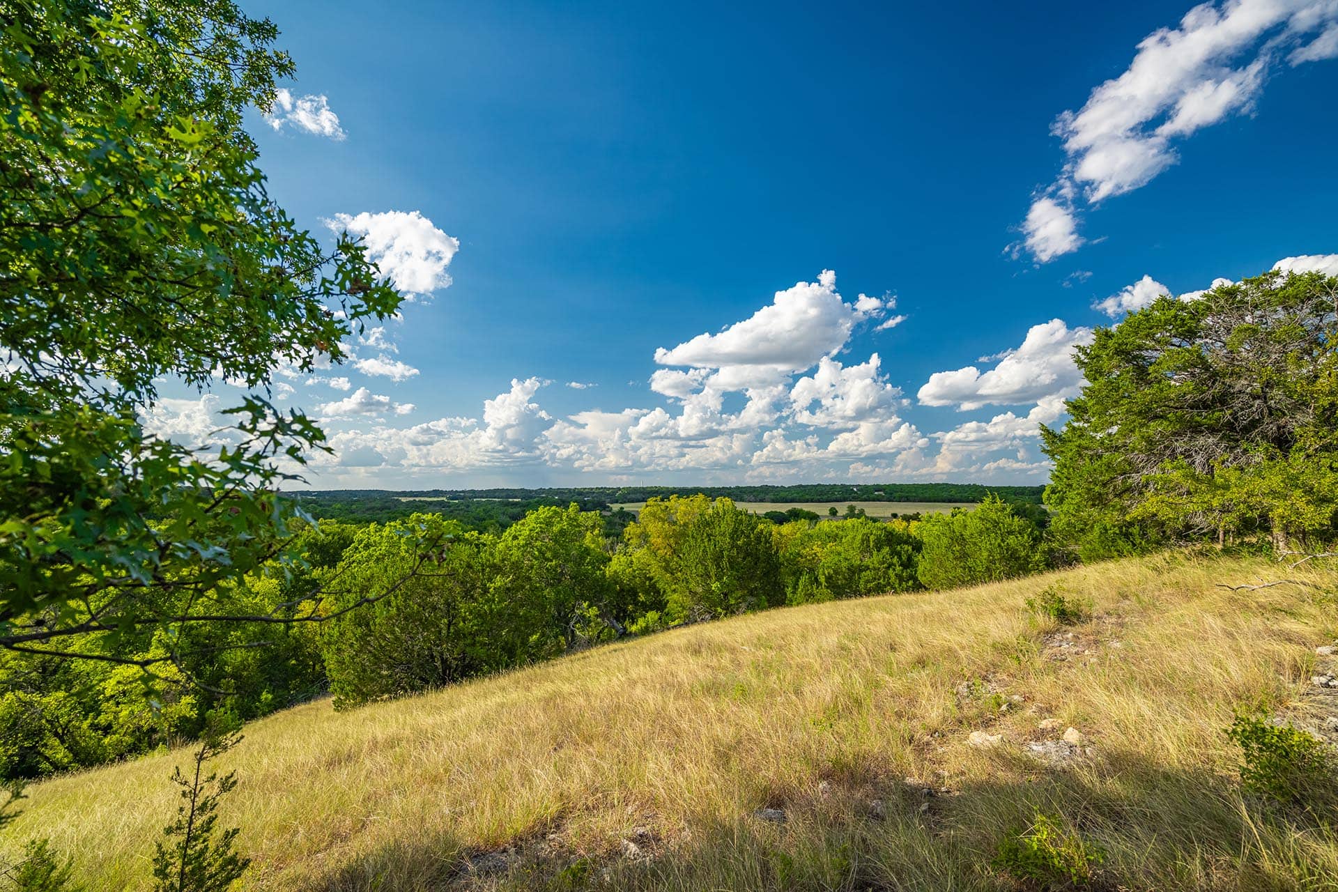 seasonal creek and dams texas gary creek ranch