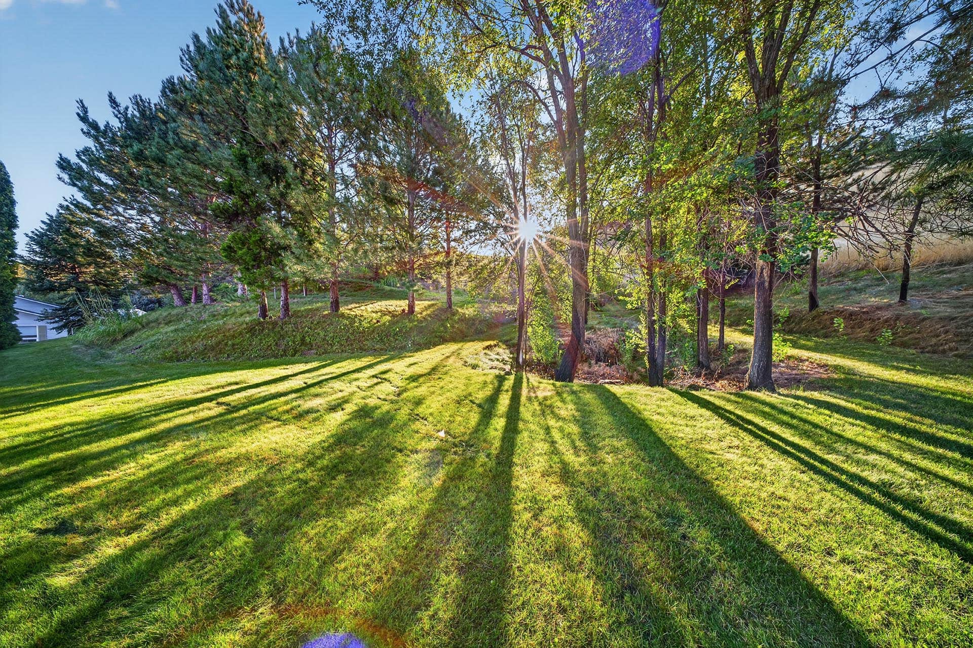 shaded lawn pathway between mature trees idaho apple ridge farmstead