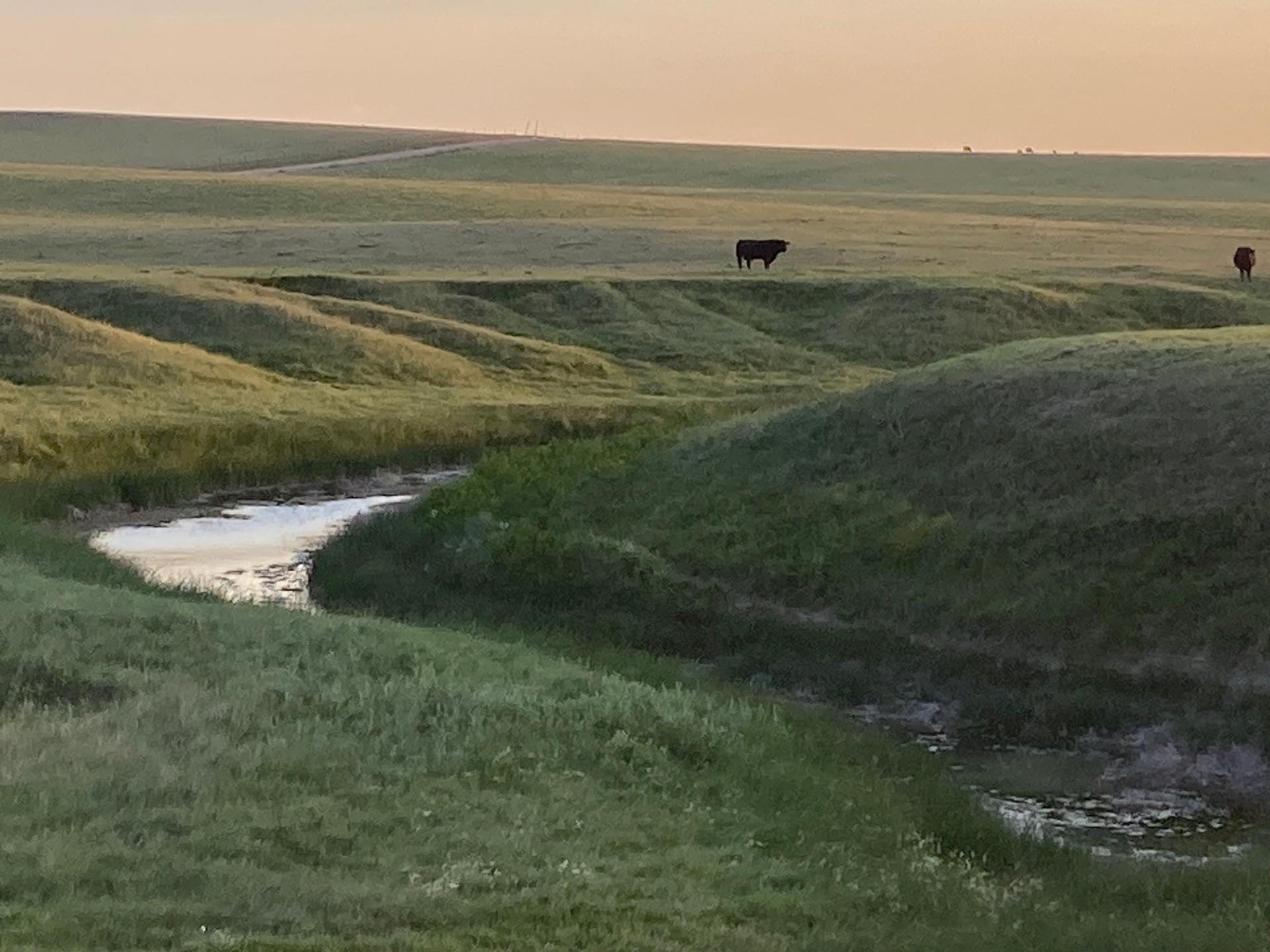 stream frontage ranch colorado buck creek ranch