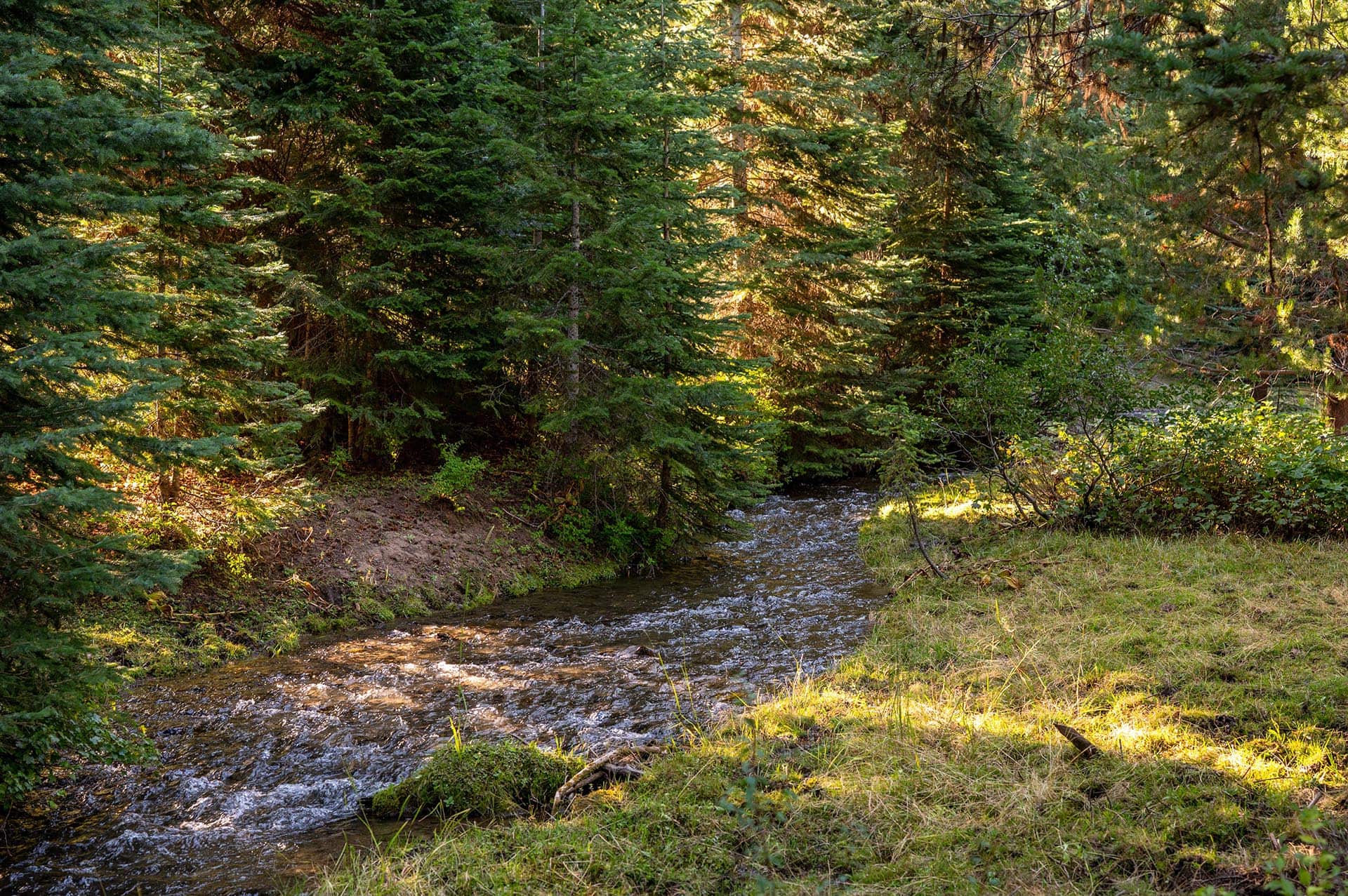 sunlit forest stream ranch for sale oregon goose creek getaway