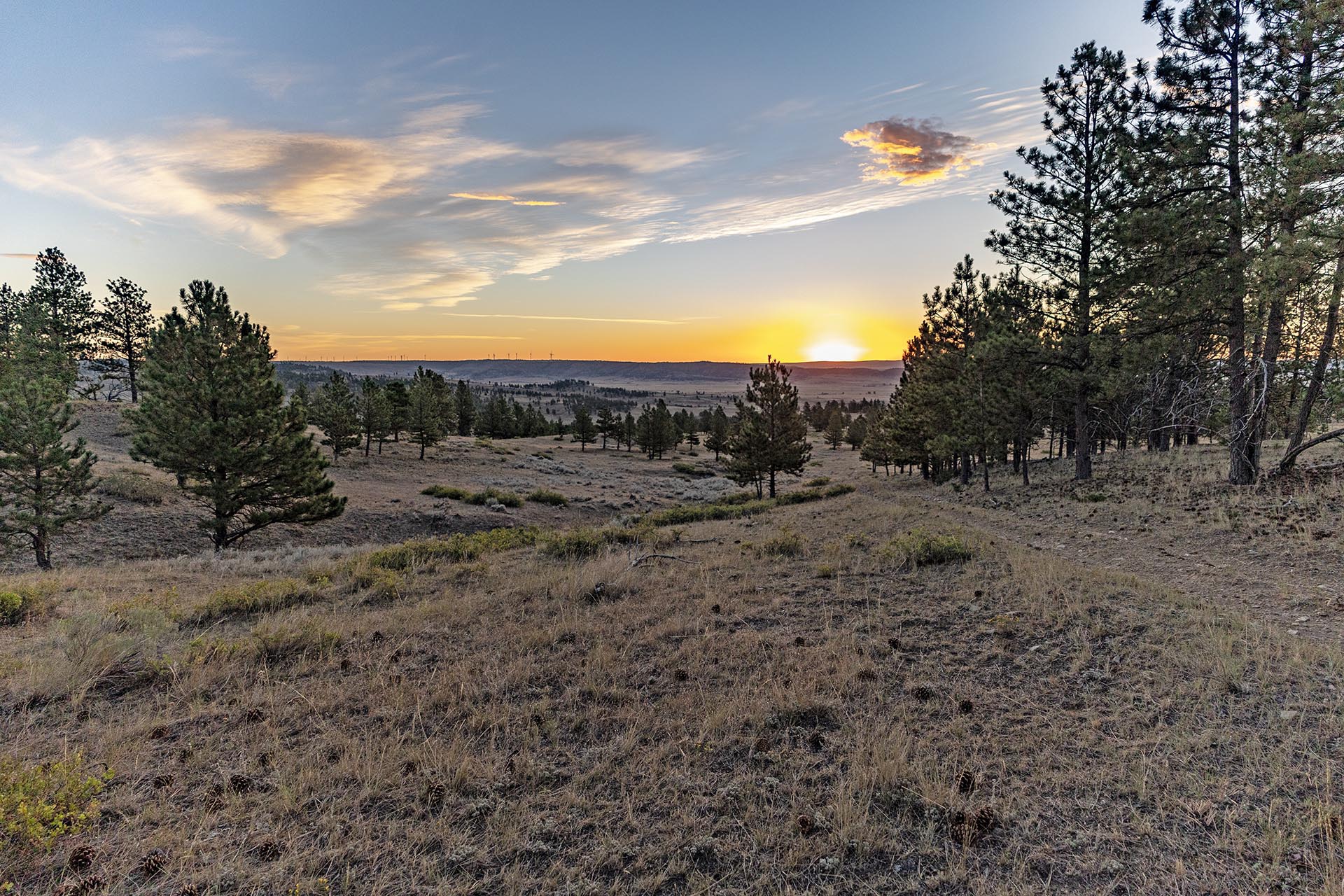 sunset views timbered land for sale mt montana greycliff hunting preserve