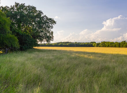 texas land for sale gark creek ranch