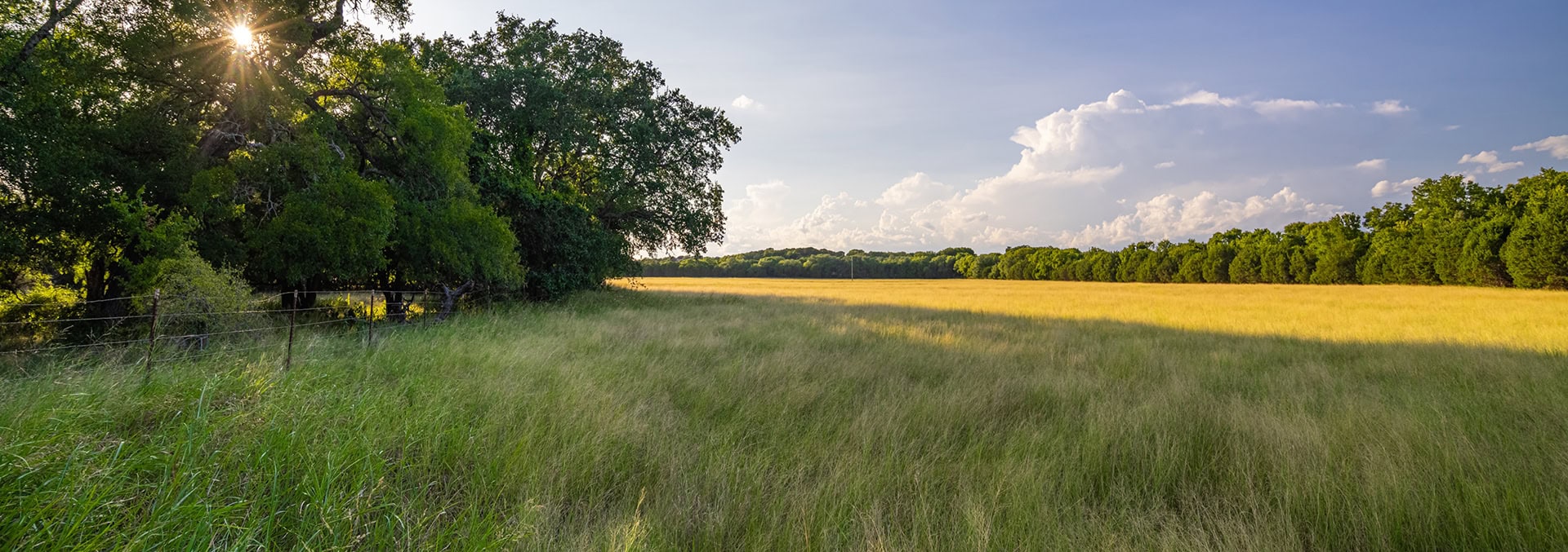 texas land for sale gark creek ranch