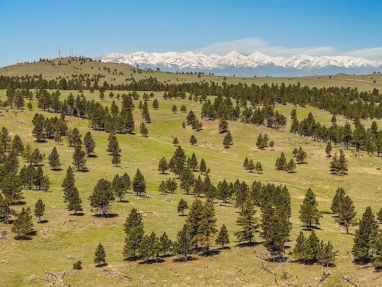 timbered mountain property mt montana greycliff hunting preserve