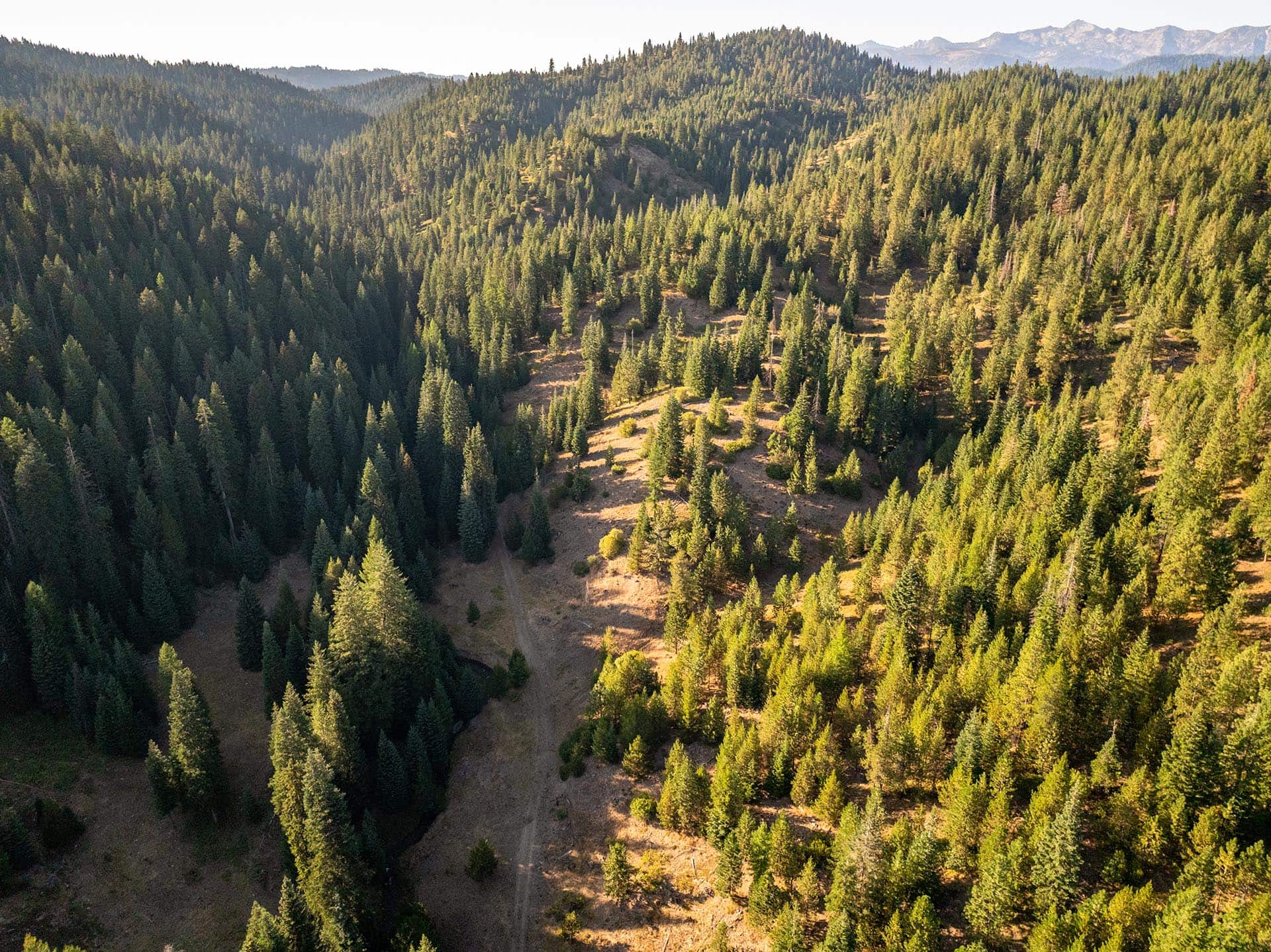timbered mountain property ranch property for sale oregon goose creek ranch