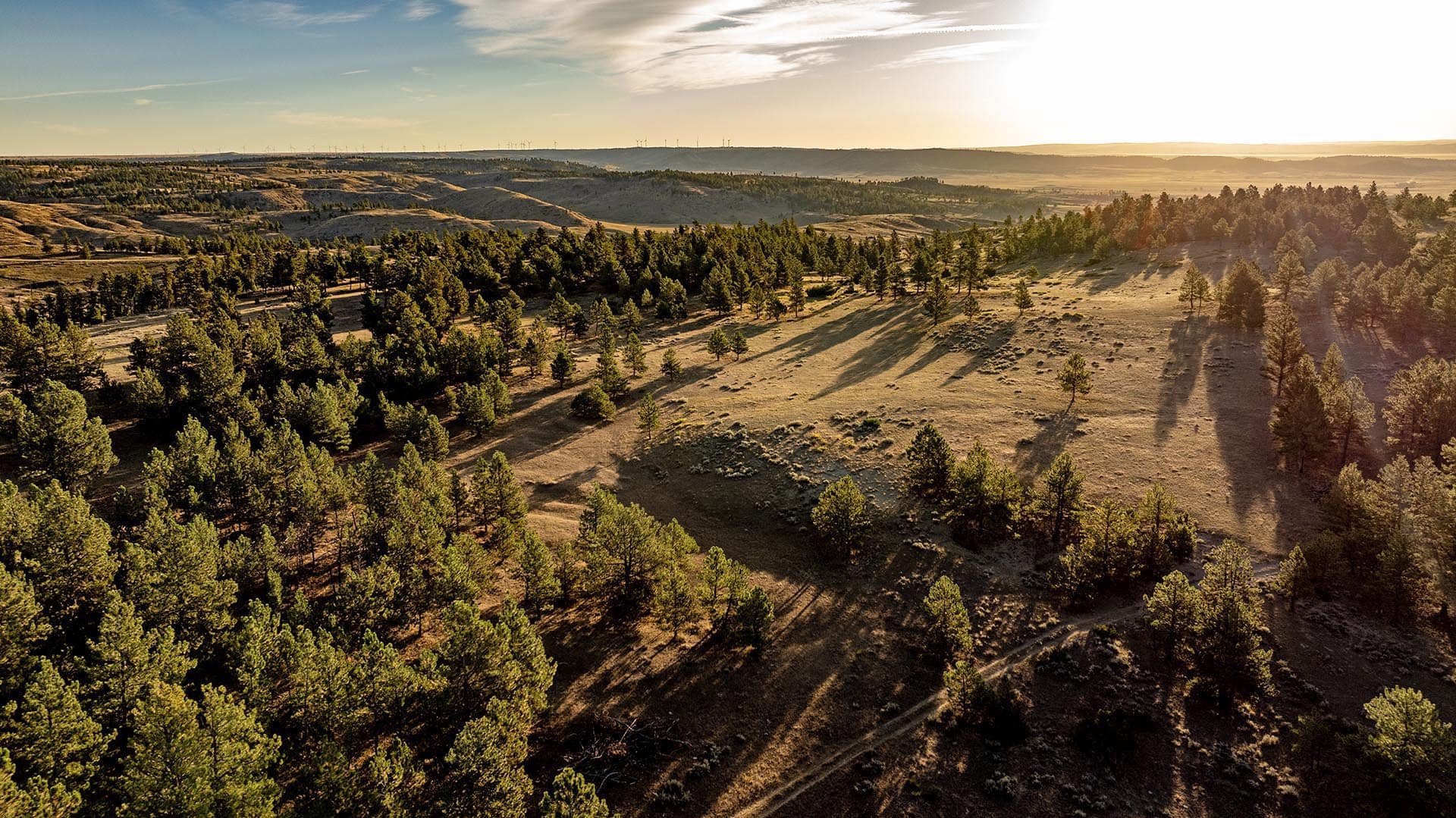 timbered property with clearings mt montana greycliff hunting preserve