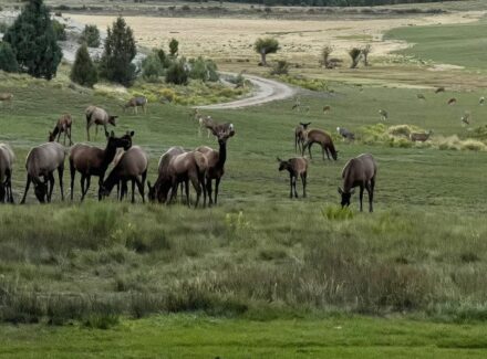 utah parcels for sale elk ridge estates