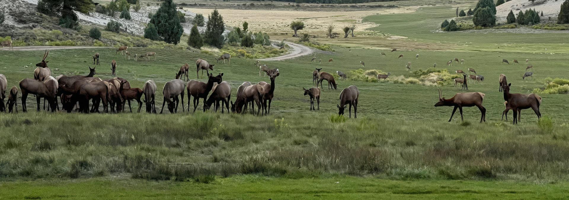 utah parcels for sale elk ridge estates