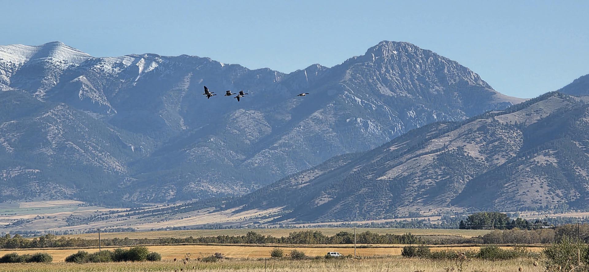 wildlife viewing property with mountain views montana west bozeman homestead