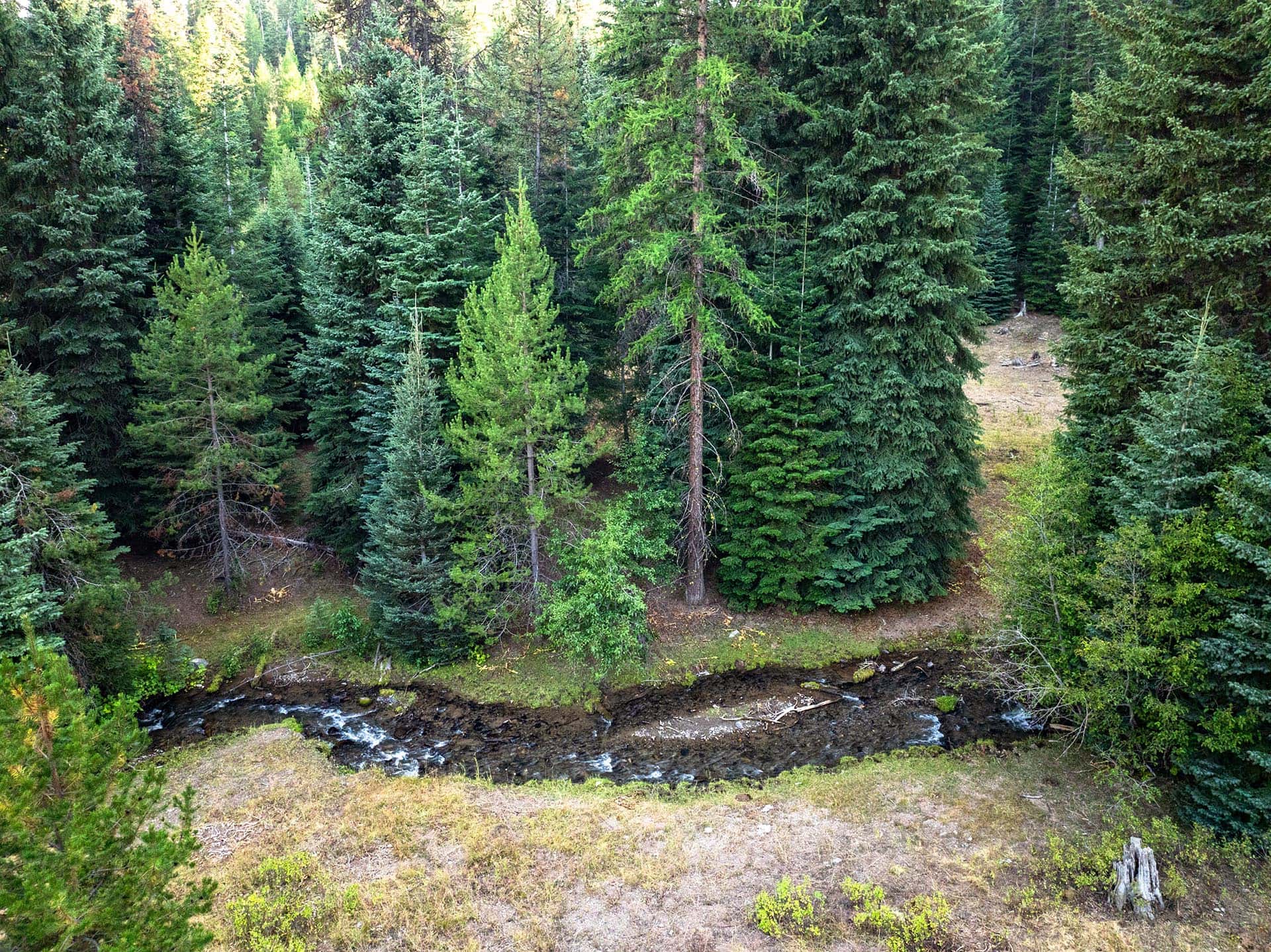 winding forest creek land oregon goose creek getaway