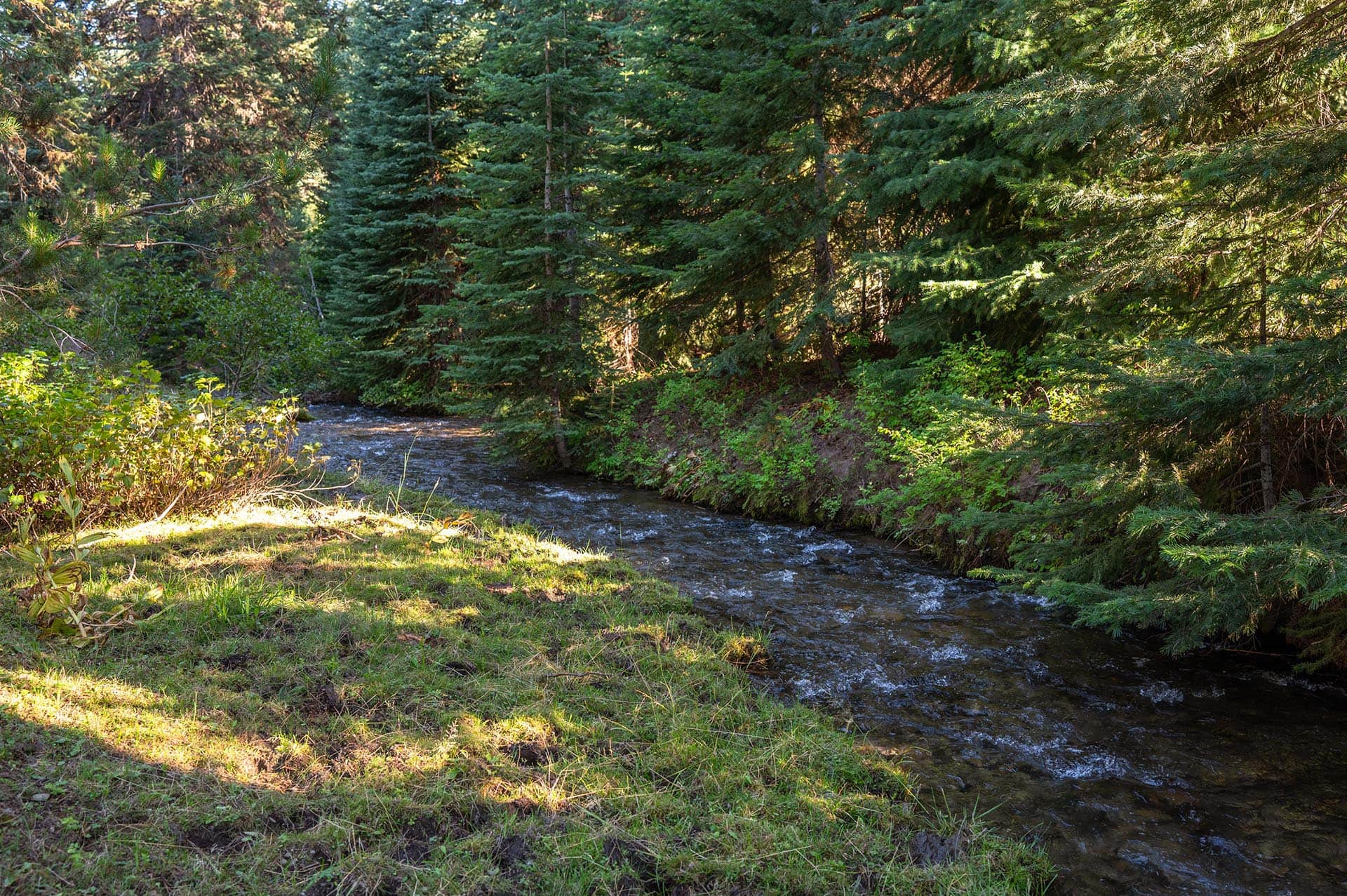 wooded creek frontage property oregon goose creek getaway