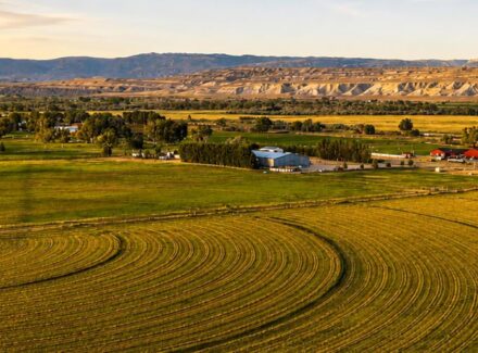 wyoming ranches for sale dirt land and livestock
