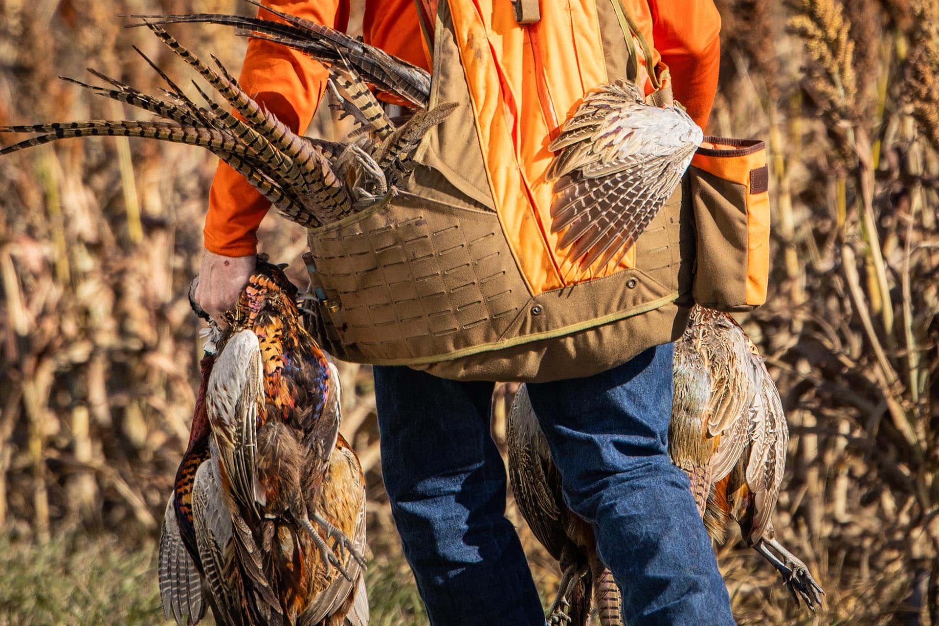 4277 acre hunting property for sale south dakota paul nelson farm