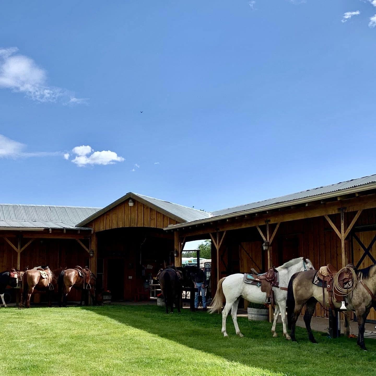 Equestrian ranch for sale arizona four of a kind ranch