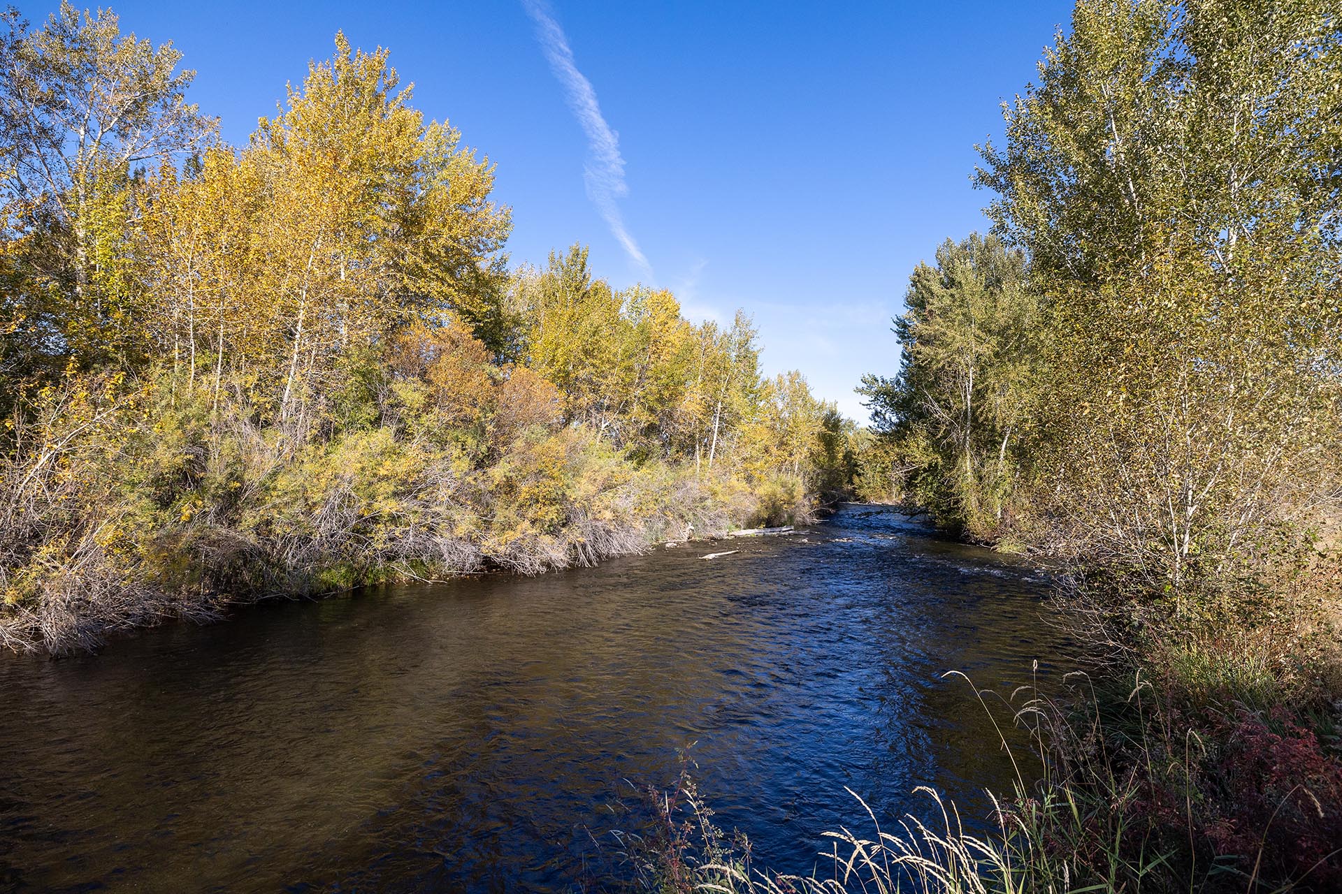 Lemhi River idaho jackson corner ranch